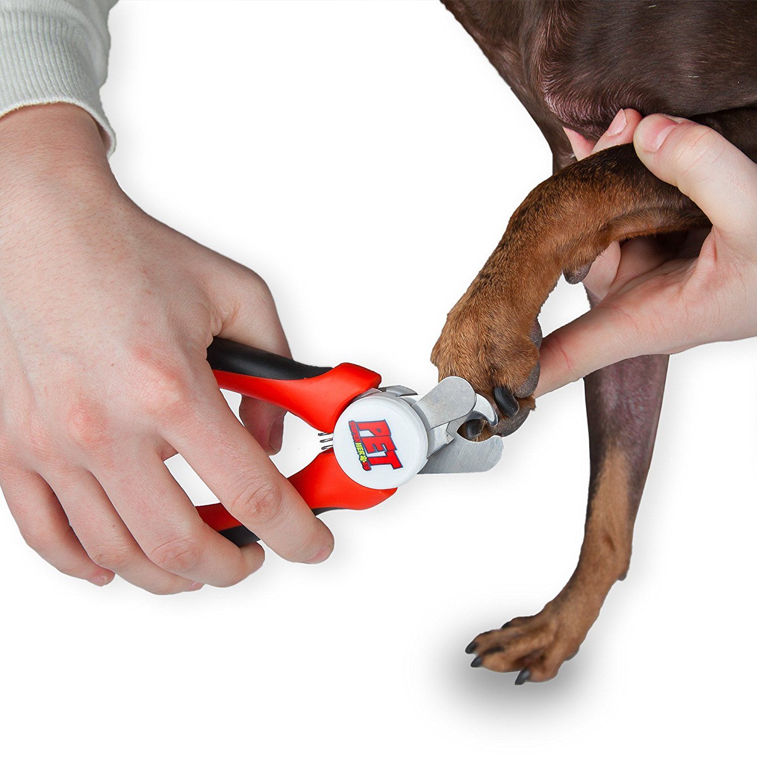 Petsmart Grooming Prices Nail Trim